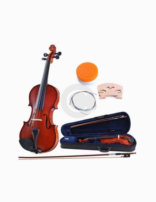 Handcrafted Blue Acoustic Violin - Image 2